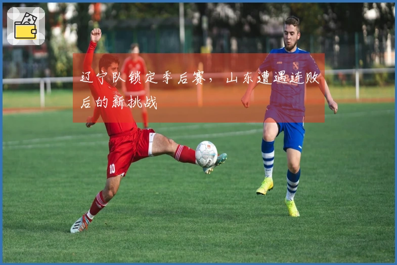 辽宁队锁定季后赛，山东遭遇连败后的新挑战