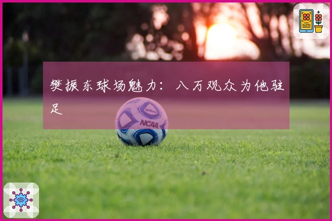 樊振东球场魅力：八万观众为他驻足