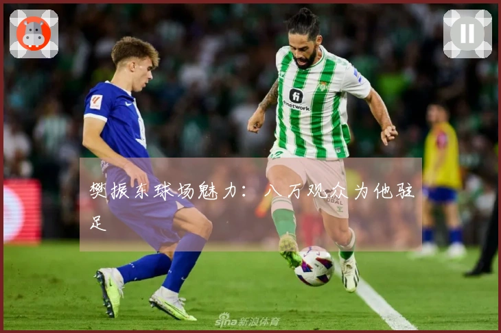 樊振东球场魅力：八万观众为他驻足