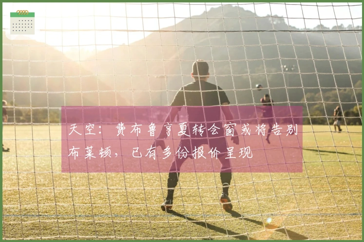 天空：费布鲁亨夏转会窗或将告别布莱顿，已有多份报价呈现